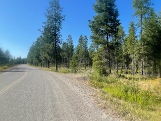 NKN Bead Lake Rd, Newport, WA 99156