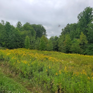 0 Bennett Ridge Rd Unit 59 & 61, Saint Marys, PA 15857