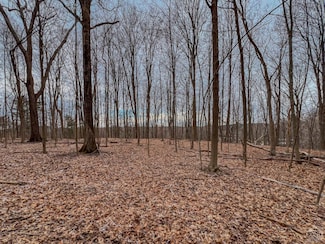 0 Bunker Hill Rd, Nassau, NY 12123