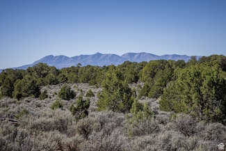 1250 W Summit Rd, Monticello, UT 84535