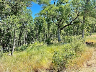 15336 Brannan St, Clearlake, CA 95422