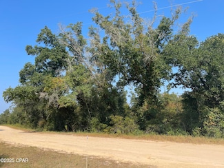 00 Union Dr, Alford, FL 32420