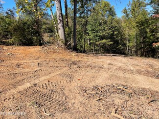 lot 2 Turley Bridge Rd, Morristown, TN 37814