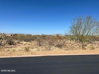 2695 E Homestead Ridge Ct Unit 221, Sahuarita, AZ 85629