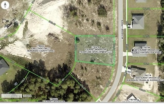 12673 Sunset Woods Dr, Spring Hill, FL 34609