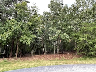 135 Deep Water Ct, New London, NC 28127