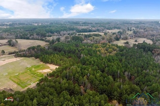 TBD Farm To Market 782, Henderson, TX 75652