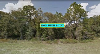 11790 SE 82nd St, Morriston, FL 32668