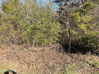0 Highway 411 Unit 1249596, Madisonville, TN 37354