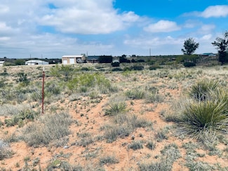 540 Loop, Logan, NM 88426