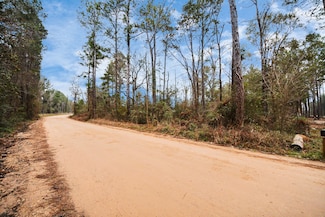 12+ Acres County Line Rd, Shepherd, TX 77371