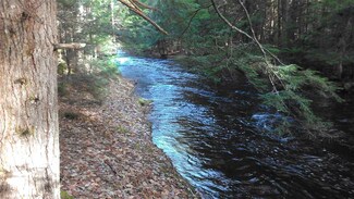 4 Roby Rd Unit Lot 1, Bradford, NH 03221