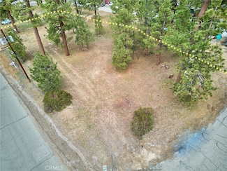 545 545 Wren Dr, Big Bear Lake, CA 92315