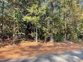 Lot 5 Lake Jennifer Dr, Americus, GA 31709
