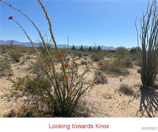 Lot 8 Knox Rd, Yucca, AZ 86438