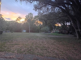 6641 Twilight Ct, Davenport, FL 33896