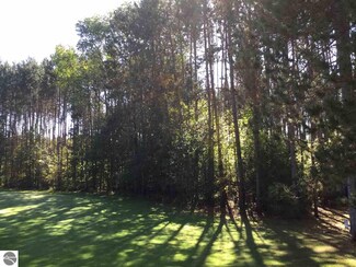 7315 Spring Trail, Mancelona, MI 49659