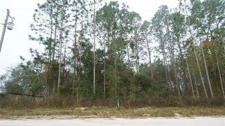 000 SE 70th St, Morriston, FL 32668