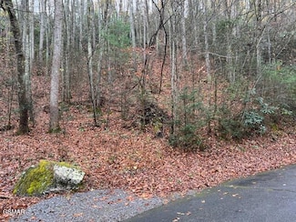 Lot 1 Big Buck Trail, Townsend, TN 37882