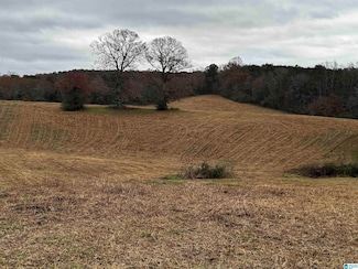 0 Sawmill Rd Unit 21405734, Blountsville, AL 35031
