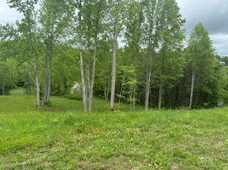 0 Union Hill Moss Rd, Moss, TN 38575