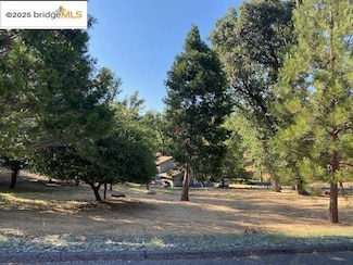 20782 Buttercup Cir, Groveland, CA 95321