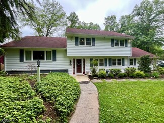 42 Wildwood Terrace, Watchung, NJ 07069