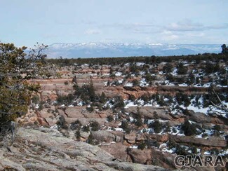 538 N Rim View Ct, Glade Park, CO 81523
