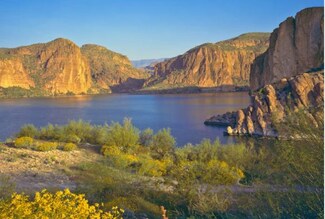 Apache County Rd, Saint Johns, AZ 85924