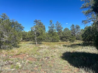 5431 Grey Wolf Dr, Lakeside, AZ 85929