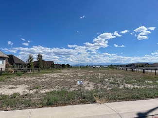 TBD Torrence Dr, Montrose, CO 81401