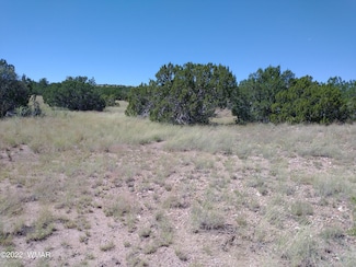 147 Concho Dr, Concho, AZ 85924