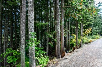 8 xx Snoqualmie Dr, Snoqualmie Pass, WA 98068