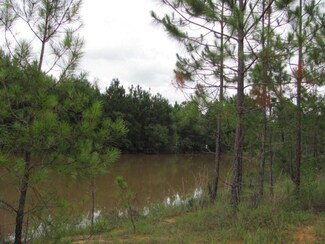 0 Lake Owl Head Trail Unit 12574, Hazlehurst, GA 31539