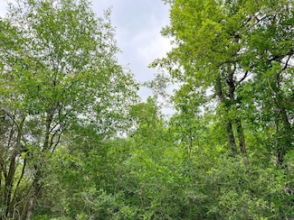 0 Cravens Camp Rd, Silsbee, TX 77656