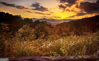 LOT 29 Raven Ridge Rd, Clayton, GA 30525