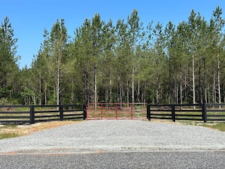 0 Dewey Thomas Rd Unit 20382544, Dexter, GA 31019
