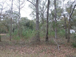 Lot 8 River Oaks Dr, Bainbridge, GA 39817