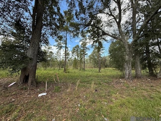 LOT 5 Old Hwy 33, Centreville, MS 39631