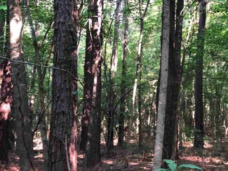 001 Attala Rd, Kosciusko, MS 39090