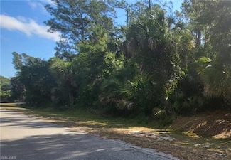 0 5th St NW Unit 225045472, Naples, FL 34120