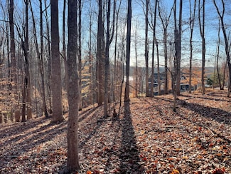 Lot 118 Brentwood Ln, Moneta, VA 24121