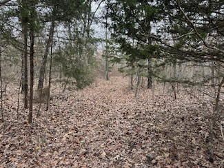 00 Pr 45615, Blossom, TX 75416