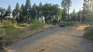 13597 W Park Dr, Magalia, CA 95954