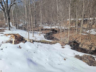 10-D Preston Rd NE, Kalkaska Township, MI 49646