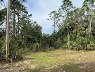 2905 Ashburn St, Lehigh Acres, FL 33972