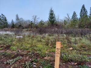 1308 Green Valley Dr, Cave Junction, OR 97523