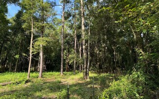818 SW Churchill Way, Lake City, FL 32025