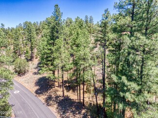 1001 24th Dr, Show Low, AZ 85901