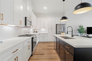 1025 Upside Wheatley, Houston, TX 77091